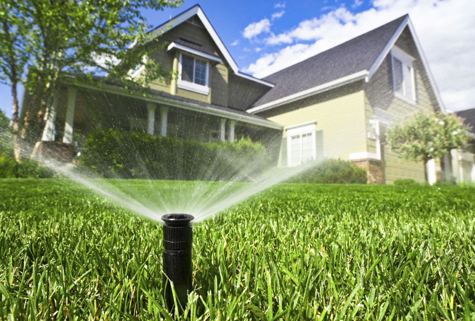 how to water a lawn